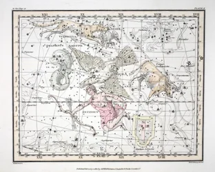 Les constellations (Planche X) Aquila et Antinous, Scutum Sobieski, Taurus Poniatowski, Sagitta, Valpecula et Anser, et Delphinus, de 